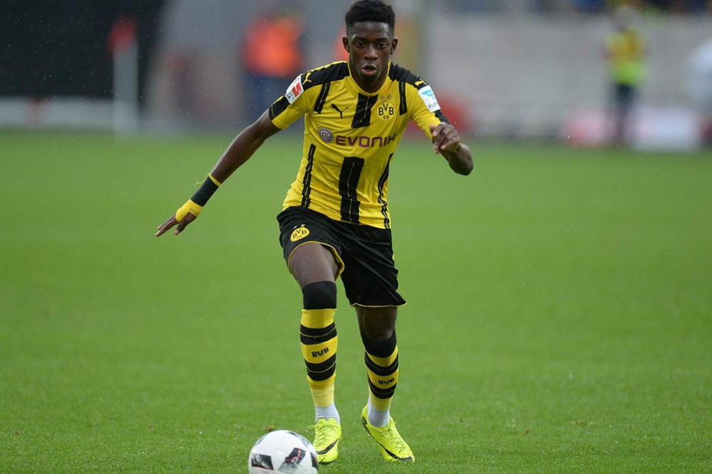 尤其在他的 尤其在他的