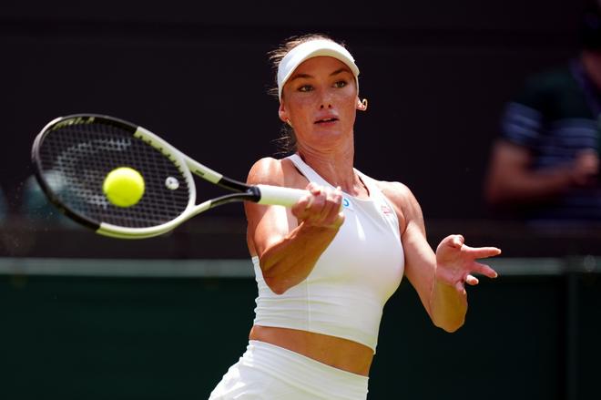 入日本队的 入日本队的