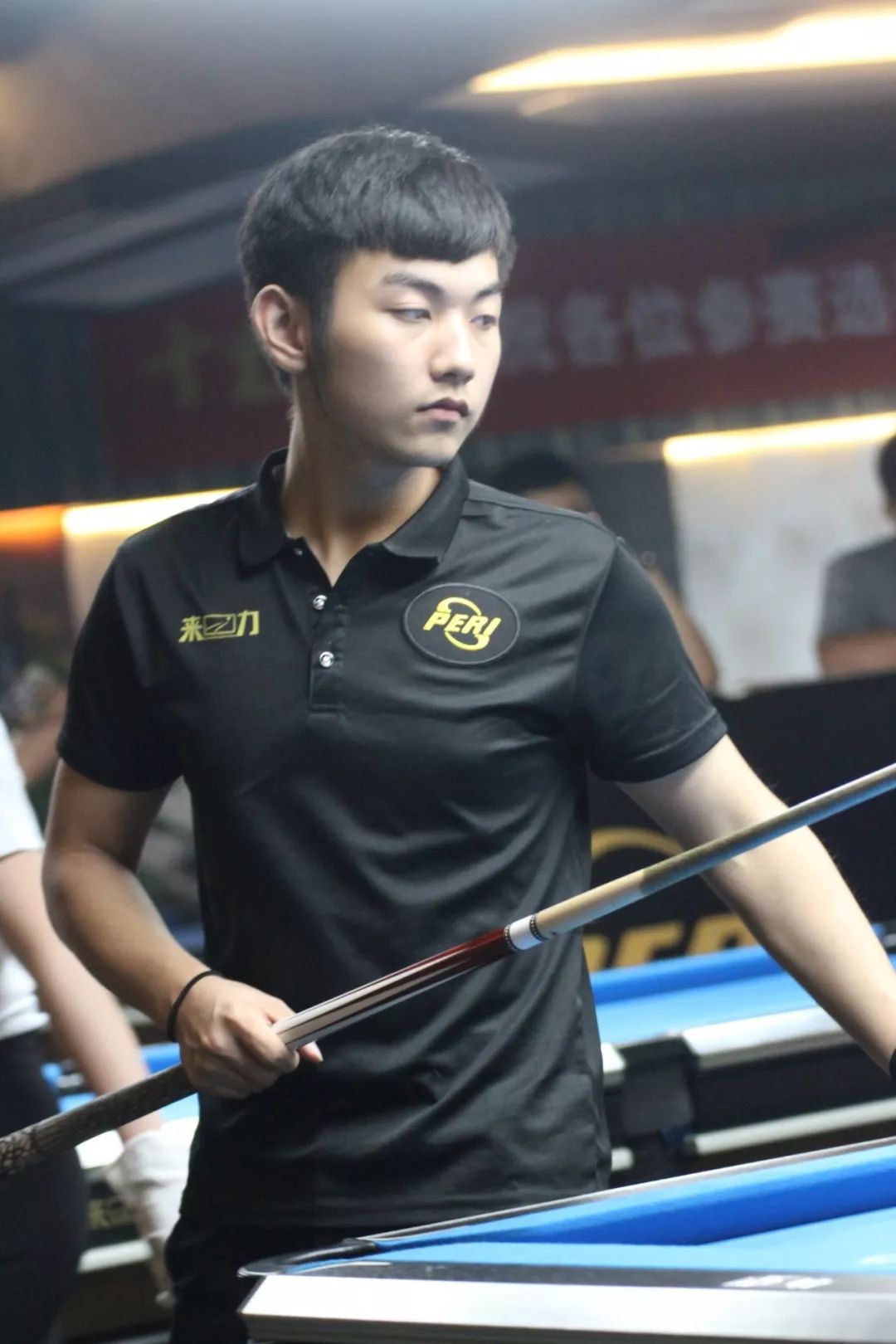 詹姆斯则体 詹姆斯则体