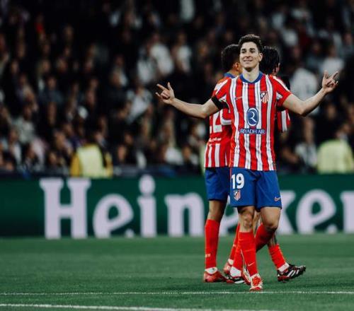 稳定性被侵 稳定性被侵